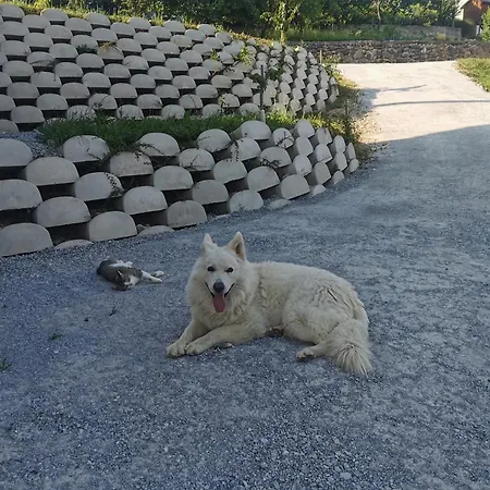 Apartma Lipa Appartement *