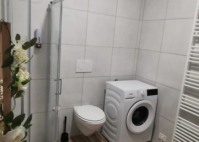 Apartma Lipa アパート *