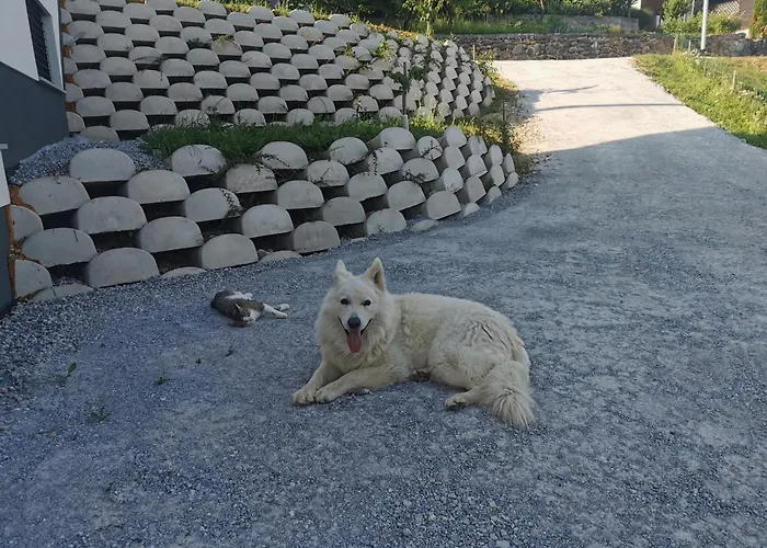 Apartma Lipa アパート *